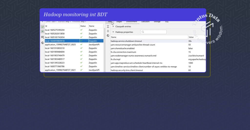 Hadoop monitoring in BDT